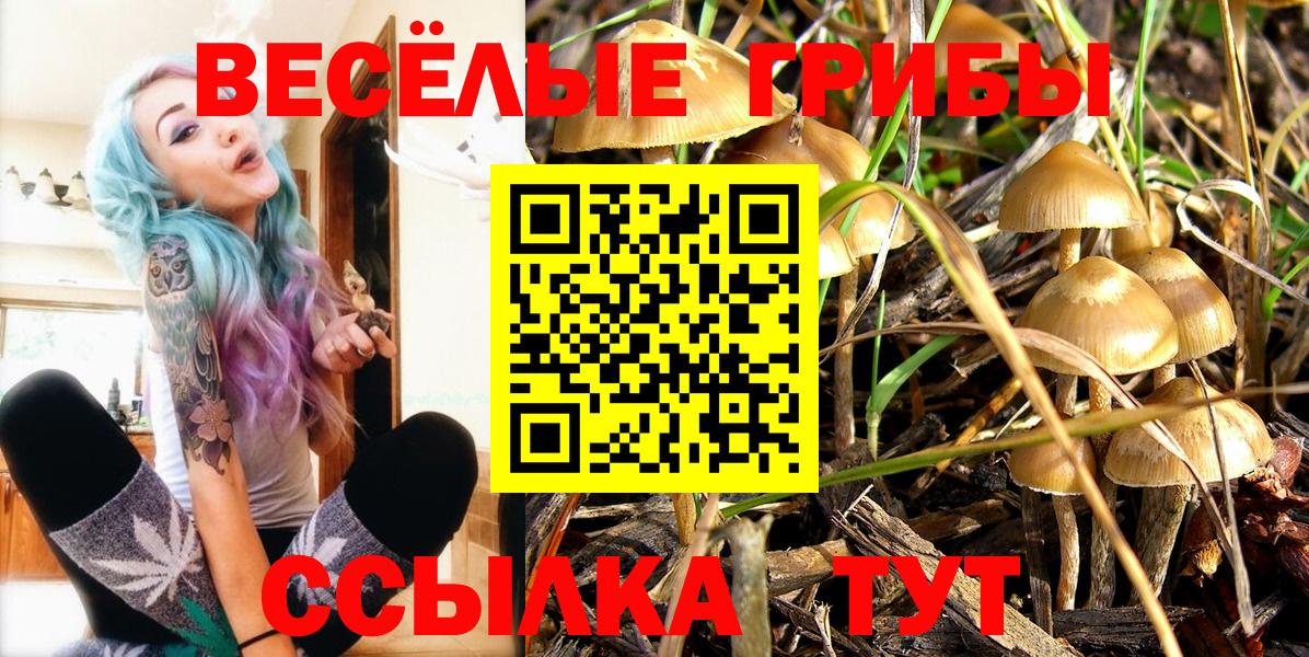 Галлюциногенные грибы GOLDEN TEACHER  Вход с VPN  Галлюциногенные грибы прущие грибы  Димитровград 